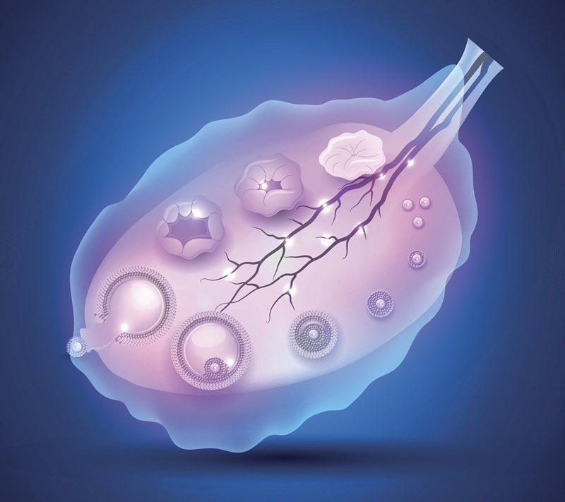长沙试管医院选择指南：中信湘雅、湘雅医院领衔正规机构盘点，附卵泡监测与费用解析
